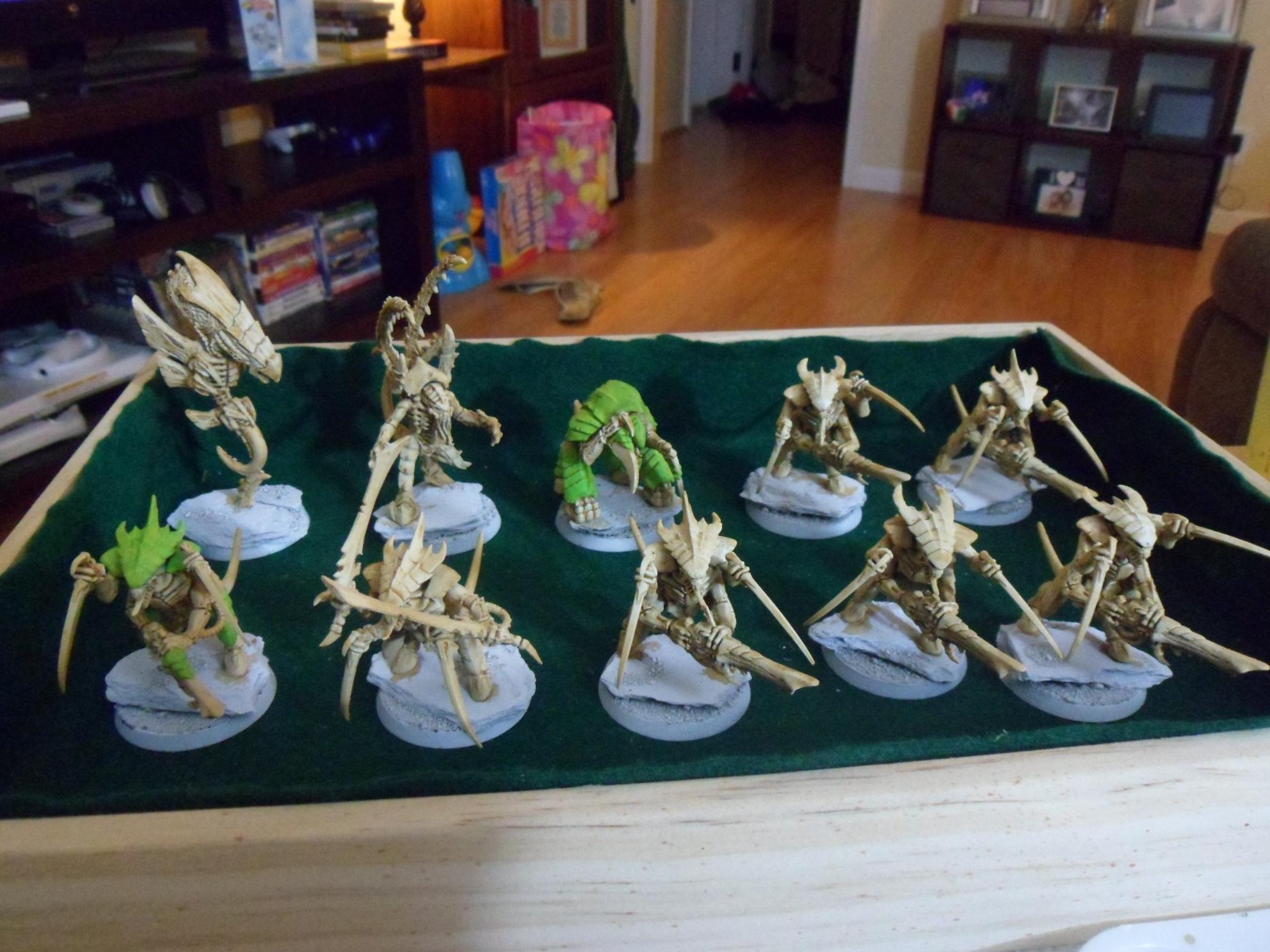 Current Tyranids  Current Tyranids  Gallery  DakkaDakka